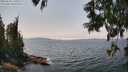 ./images/koeye/fitz-hugh/20250622/fitz-hugh20250622_140509M.jpg