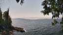 ./images/koeye/fitz-hugh/20250622/fitz-hugh20250622_144010M.jpg