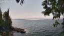 ./images/koeye/fitz-hugh/20250622/fitz-hugh20250622_144511M.jpg