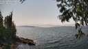 ./images/koeye/fitz-hugh/20250622/fitz-hugh20250622_150010M.jpg