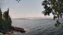 ./images/koeye/fitz-hugh/20250622/fitz-hugh20250622_152011M.jpg