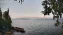 ./images/koeye/fitz-hugh/20250622/fitz-hugh20250622_153508M.jpg