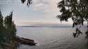 ./images/koeye/fitz-hugh/20250622/fitz-hugh20250622_155010M.jpg