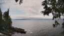 ./images/koeye/fitz-hugh/20250622/fitz-hugh20250622_160011M.jpg