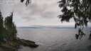 ./images/koeye/fitz-hugh/20250622/fitz-hugh20250622_161511M.jpg