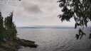 ./images/koeye/fitz-hugh/20250622/fitz-hugh20250622_162011M.jpg
