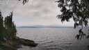 ./images/koeye/fitz-hugh/20250622/fitz-hugh20250622_162509M.jpg