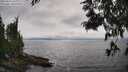 ./images/koeye/fitz-hugh/20250622/fitz-hugh20250622_163011M.jpg