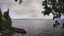 ./images/koeye/fitz-hugh/20250622/fitz-hugh20250622_163509M.jpg