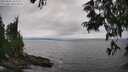 ./images/koeye/fitz-hugh/20250622/fitz-hugh20250622_164010M.jpg