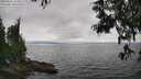 ./images/koeye/fitz-hugh/20250622/fitz-hugh20250622_164508M.jpg
