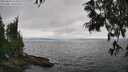 ./images/koeye/fitz-hugh/20250622/fitz-hugh20250622_165011M.jpg