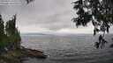 ./images/koeye/fitz-hugh/20250622/fitz-hugh20250622_165509M.jpg
