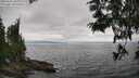 ./images/koeye/fitz-hugh/20250622/fitz-hugh20250622_170011M.jpg