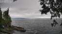 ./images/koeye/fitz-hugh/20250622/fitz-hugh20250622_171510M.jpg