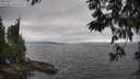 ./images/koeye/fitz-hugh/20250622/fitz-hugh20250622_172010M.jpg