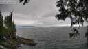 ./images/koeye/fitz-hugh/20250622/fitz-hugh20250622_172510M.jpg