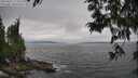 ./images/koeye/fitz-hugh/20250622/fitz-hugh20250622_173510M.jpg
