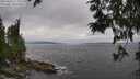 ./images/koeye/fitz-hugh/20250622/fitz-hugh20250622_174009M.jpg