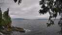 ./images/koeye/fitz-hugh/20250622/fitz-hugh20250622_180011M.jpg
