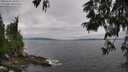./images/koeye/fitz-hugh/20250622/fitz-hugh20250622_180509M.jpg