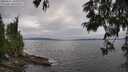 ./images/koeye/fitz-hugh/20250622/fitz-hugh20250622_181010M.jpg