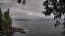 ./images/koeye/fitz-hugh/20250622/fitz-hugh20250622_183510M.jpg
