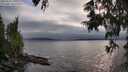 ./images/koeye/fitz-hugh/20250622/fitz-hugh20250622_191009M.jpg