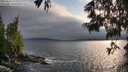 ./images/koeye/fitz-hugh/20250622/fitz-hugh20250622_193008M.jpg
