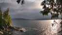 ./images/koeye/fitz-hugh/20250622/fitz-hugh20250622_193508M.jpg