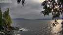 ./images/koeye/fitz-hugh/20250622/fitz-hugh20250622_194009M.jpg