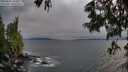 ./images/koeye/fitz-hugh/20250622/fitz-hugh20250622_194508M.jpg