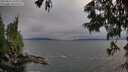./images/koeye/fitz-hugh/20250622/fitz-hugh20250622_195006M.jpg