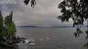 ./images/koeye/fitz-hugh/20250622/fitz-hugh20250622_195508M.jpg