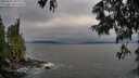 ./images/koeye/fitz-hugh/20250622/fitz-hugh20250622_201009M.jpg