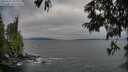 ./images/koeye/fitz-hugh/20250622/fitz-hugh20250622_202009M.jpg