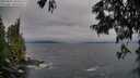 ./images/koeye/fitz-hugh/20250622/fitz-hugh20250622_203508M.jpg