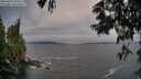 ./images/koeye/fitz-hugh/20250622/fitz-hugh20250622_204009M.jpg