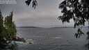 ./images/koeye/fitz-hugh/20250622/fitz-hugh20250622_205509M.jpg