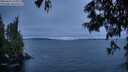 ./images/koeye/fitz-hugh/20250622/fitz-hugh20250622_220009M.jpg