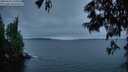 ./images/koeye/fitz-hugh/20250622/fitz-hugh20250622_221009M.jpg