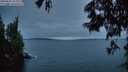 ./images/koeye/fitz-hugh/20250622/fitz-hugh20250622_221509M.jpg