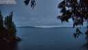 ./images/koeye/fitz-hugh/20250622/fitz-hugh20250622_222009M.jpg