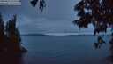 ./images/koeye/fitz-hugh/20250622/fitz-hugh20250622_222508M.jpg