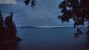 ./images/koeye/fitz-hugh/20250622/fitz-hugh20250622_223009M.jpg