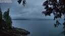 ./images/koeye/fitz-hugh/20250623/fitz-hugh20250623_045007M.jpg