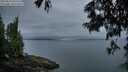 ./images/koeye/fitz-hugh/20250623/fitz-hugh20250623_050508M.jpg