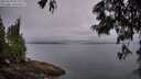 ./images/koeye/fitz-hugh/20250623/fitz-hugh20250623_052008M.jpg