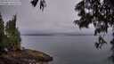 ./images/koeye/fitz-hugh/20250623/fitz-hugh20250623_052508M.jpg