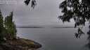 ./images/koeye/fitz-hugh/20250623/fitz-hugh20250623_055009M.jpg